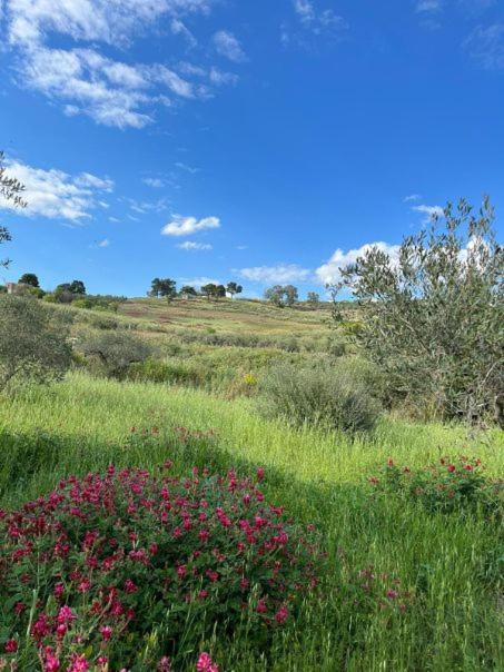 Villa Casa Country Agrigent Exterior foto